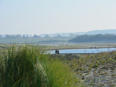 Bungalow de Keunick 1 1 - Environment photo 28