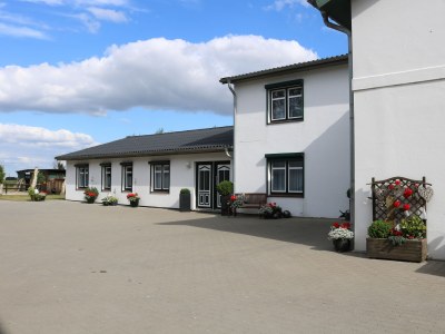 Holiday apartment No. 2 on the Doose Hof - Outdoor photo 6