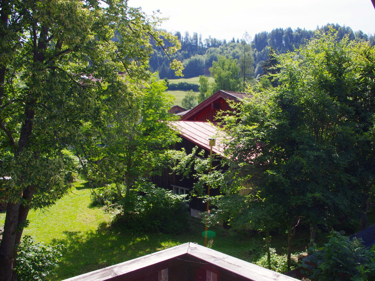 Holiday apartment Bergnescht - Outdoor photo 3