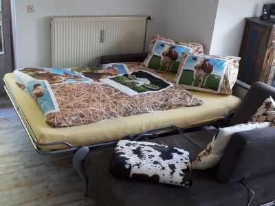 Holiday apartment Bergnescht - Features photo 21