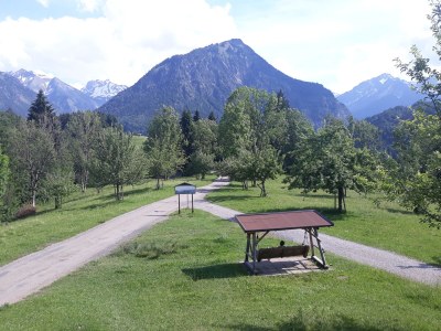 Holiday apartment Bergnescht - Environment photo 37