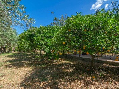 Finca Pili - Outdoor photo 21