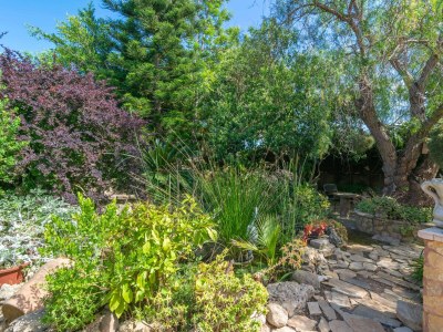 Finca Pili - Outdoor photo 23