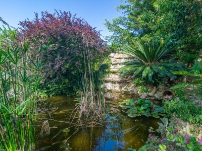 Finca Pili - Outdoor photo 24