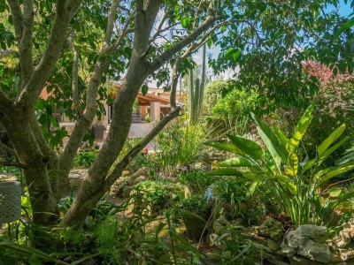 Finca Pili - Outdoor photo 25