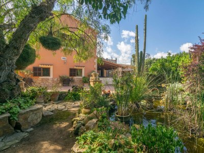 Finca Pili - Outdoor photo 26