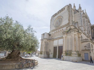 Villa Casa Puig De Na Franquesa - Outdoor photo 22