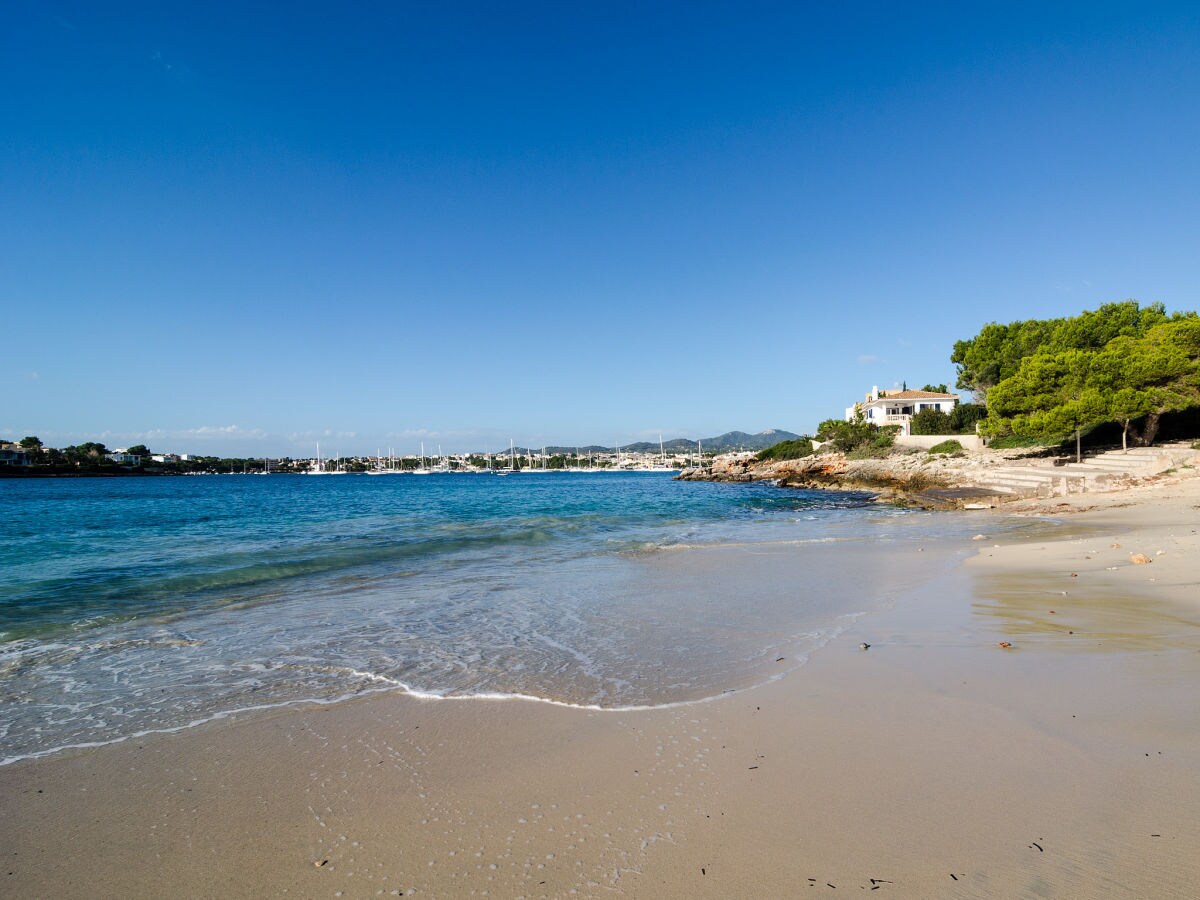 Finca Cas Faroler - Environment photo 2