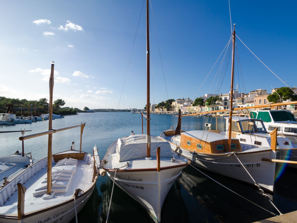Finca Cas Faroler - Environment photo 3