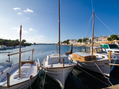 Finca Cas Faroler - Environment photo 3