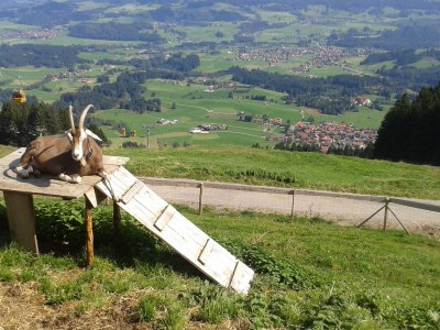 Holiday apartment Holiday Flat Neuhauser - Environment photo 13