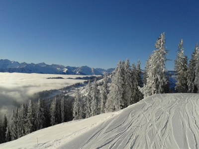 Holiday apartment Holiday Flat Neuhauser - Environment photo 17