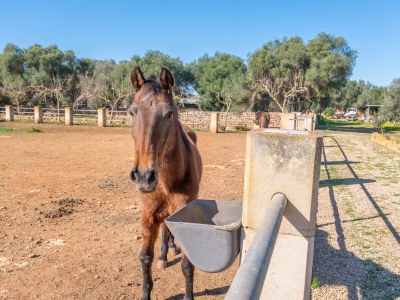 Villa Na Poram - Outdoor photo 55