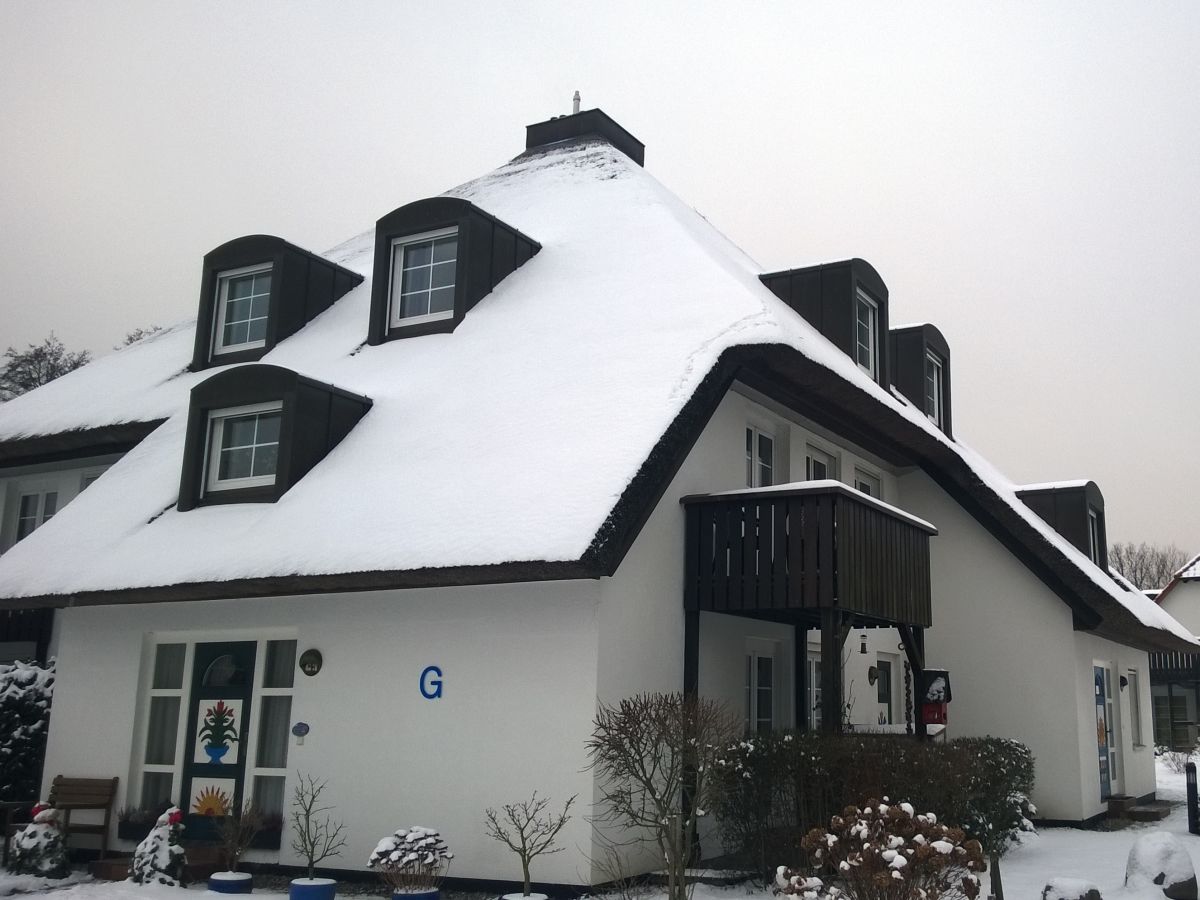 Holiday apartment Angelika's Apartment Prerow - Outdoor photo 2