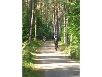 Holiday apartment Angelika's Apartment Prerow - Environment photo 16