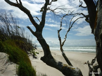 Holiday apartment Angelika's Apartment Prerow - Environment photo 17