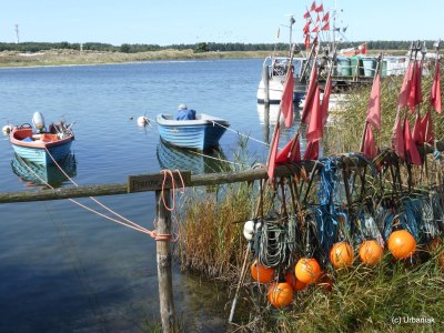Holiday apartment Angelika's Apartment Prerow - Environment photo 18