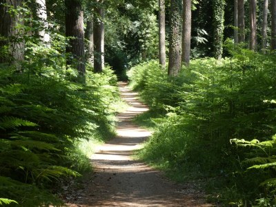 Holiday apartment Angelika's Apartment Prerow - Environment photo 19