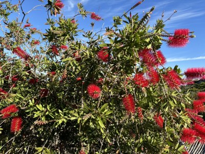 Holiday house Casa Corbezzolo - Outdoor photo 11