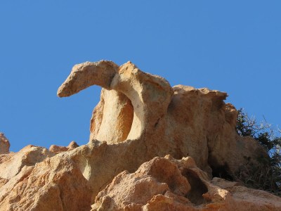 Holiday house Casa Corbezzolo - Environment photo 28