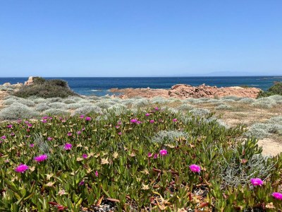 Holiday house Casa Corbezzolo - Environment photo 31