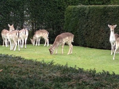 Holiday apartment Casa di Mare - Environment photo 19