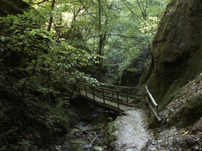 Apartment Melanies Guesthouse 2 - Environment photo 16