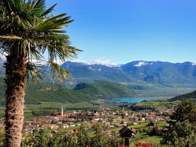 Apartment Melanies Guesthouse 2 - Environment photo 20