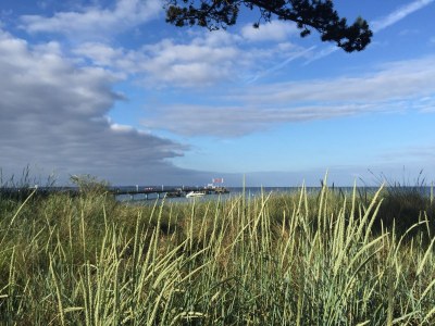 Holiday apartment Beachvilla-Scharbeutz - Environment photo 25