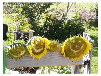 Holiday apartment Ifen in Haus Wimmer - Outdoor photo 3