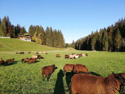 Holiday apartment Ifen in Haus Wimmer - Outdoor photo 5