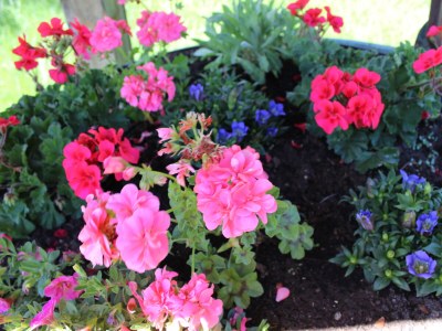 Holiday apartment Ifen in Haus Wimmer - Outdoor photo 6