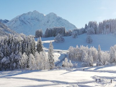 Holiday apartment Ifen in Haus Wimmer - Outdoor photo 8