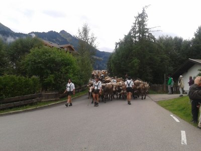 Holiday apartment Ifen in Haus Wimmer - Environment photo 20