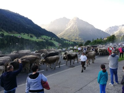 Holiday apartment Ifen in Haus Wimmer - Environment photo 24