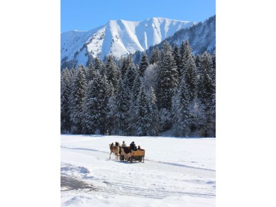 Holiday apartment Ifen in Haus Wimmer - Environment photo 25