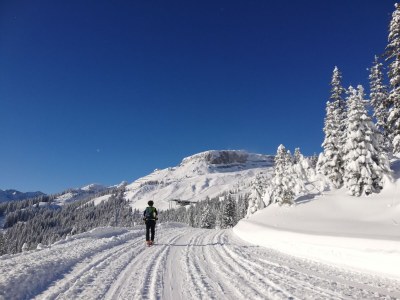 Holiday apartment Ifen in Haus Wimmer - Environment photo 28