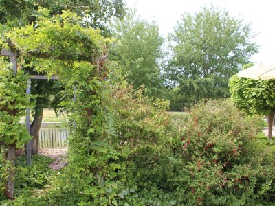 Villa Sejama - Outdoor photo 6