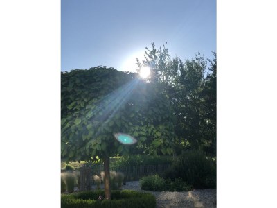 Villa Sejama - Outdoor photo 12