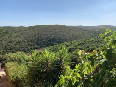 Holiday house Little Oasis - Outdoor photo 2