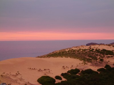 Holiday house Little Oasis - Environment photo 9