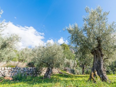 Villa S'Olivaret - Outdoor photo 17