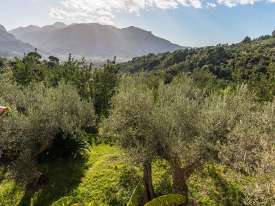 Villa S'Olivaret - Environment photo 47