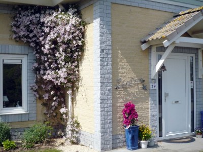 Holiday house Seestern - Outdoor photo 2