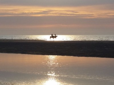 Holiday house Seestern - Environment photo 26