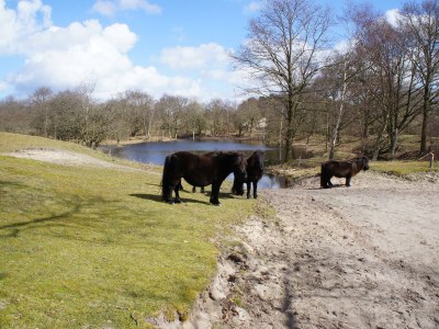 Holiday house Seestern - Environment photo 27