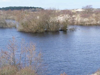 Holiday house Seestern - Environment photo 29