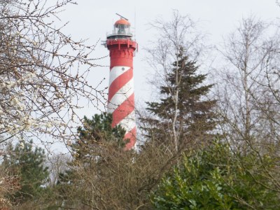 Holiday house Seestern - Environment photo 30