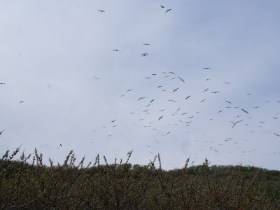 Holiday house Seestern - Environment photo 32