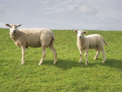 Holiday house Aquaronde 77 - Environment photo 27